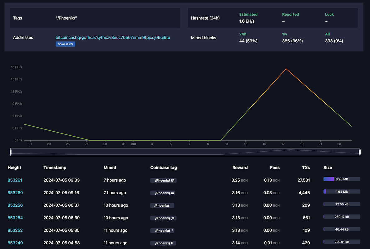 bitcoin cash blocks