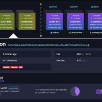 mempool accelerator