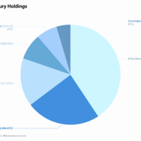 6V2eM-bitcoin-treasury-holdings