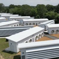 Soluna--Sophie-scaled-1